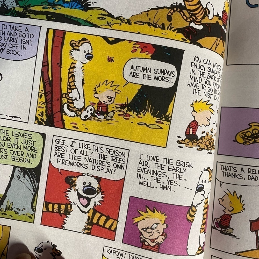 Vintage Calvin & Hobbs Comic Book - Picture 4 of 5